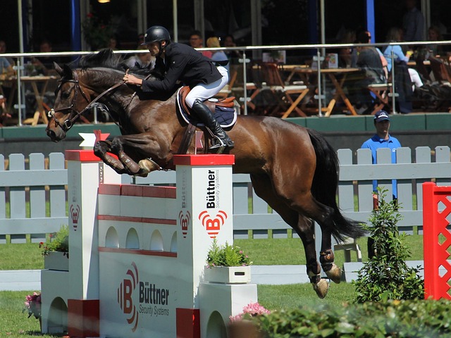 泳锦标赛不 泳锦标赛不